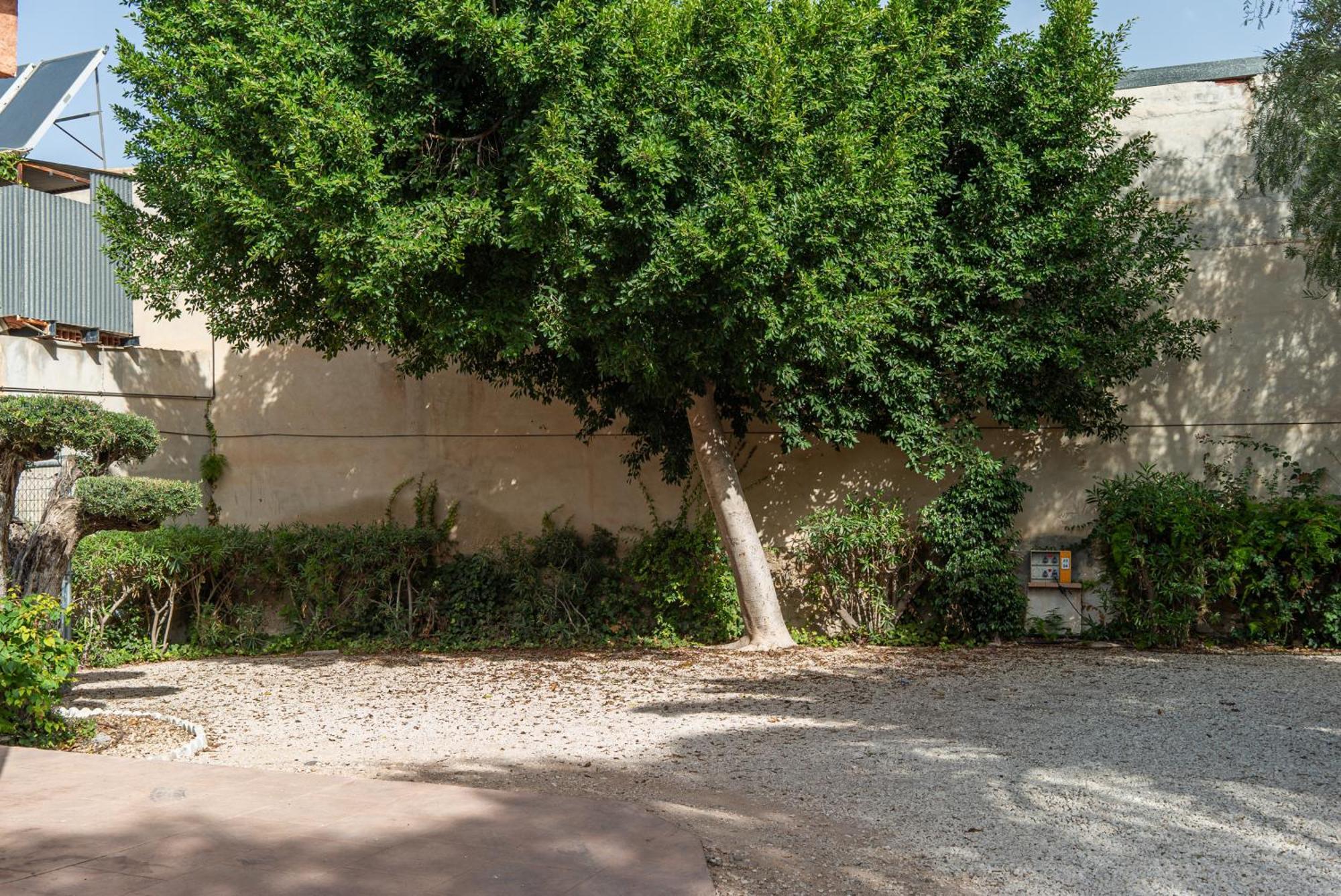 Camping Las Palmeras クレビジェンテ エクステリア 写真