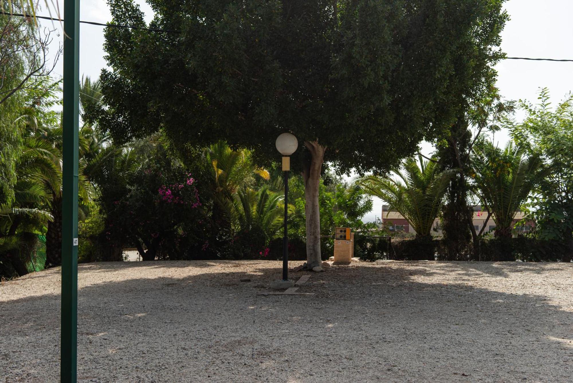 Camping Las Palmeras クレビジェンテ エクステリア 写真