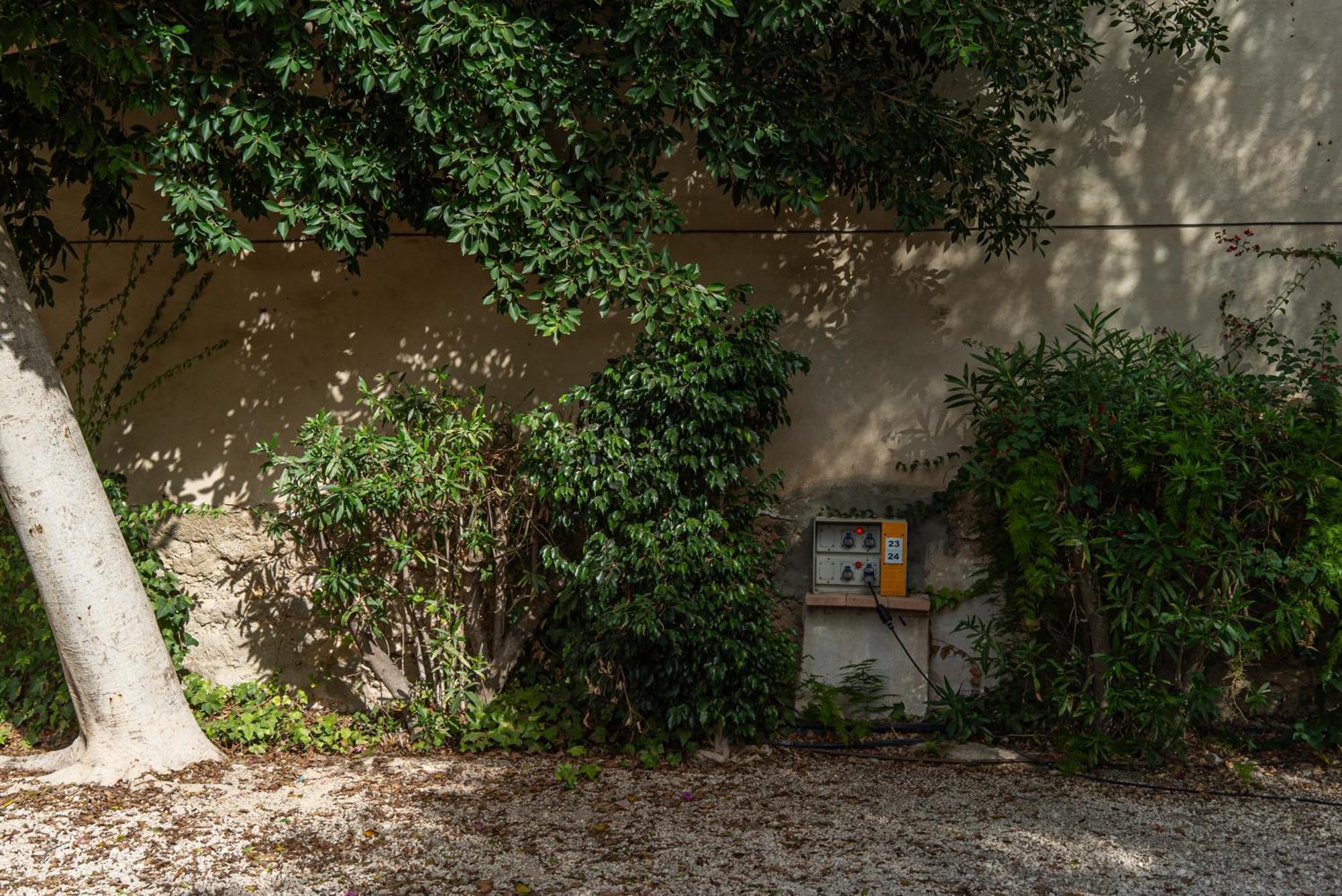 Camping Las Palmeras クレビジェンテ エクステリア 写真