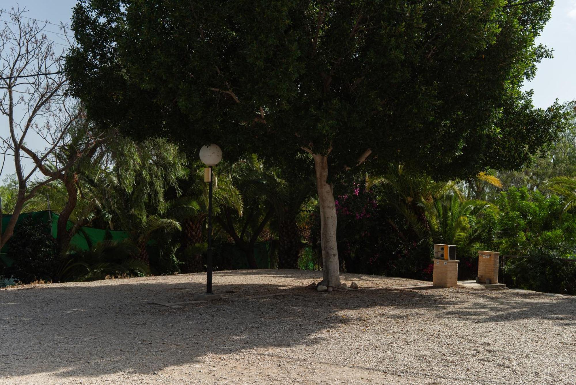 Camping Las Palmeras クレビジェンテ エクステリア 写真