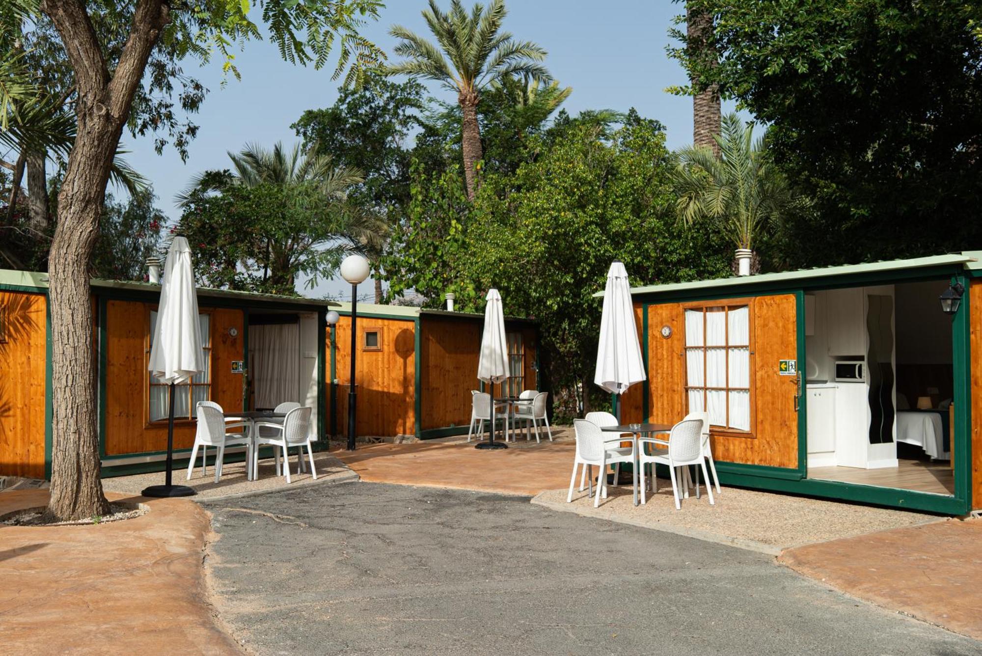 Camping Las Palmeras クレビジェンテ エクステリア 写真