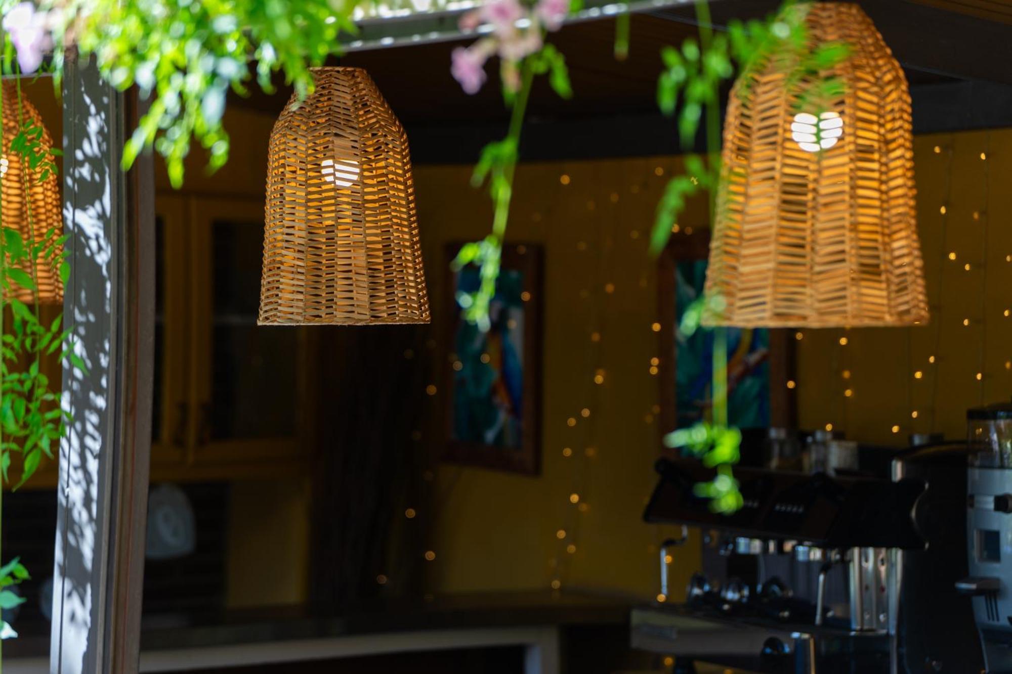 Camping Las Palmeras クレビジェンテ エクステリア 写真
